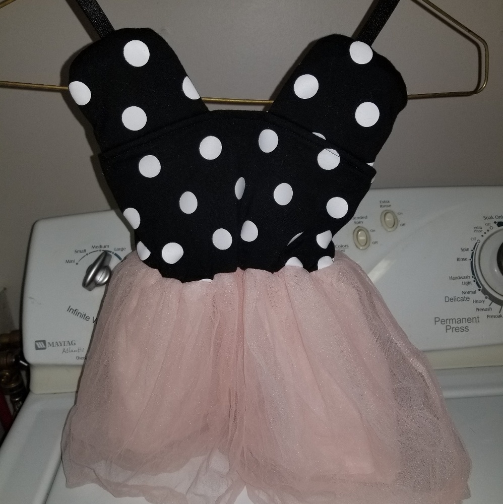 Minnie Mouse first birthday party lot